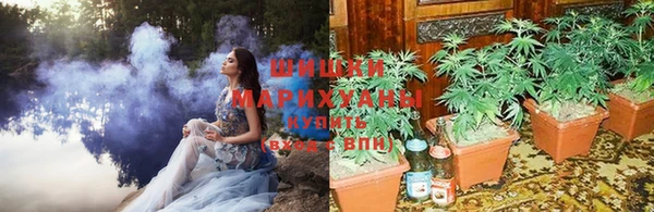 каннабис Алексеевка