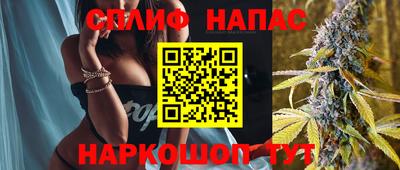 соль ск Славгород