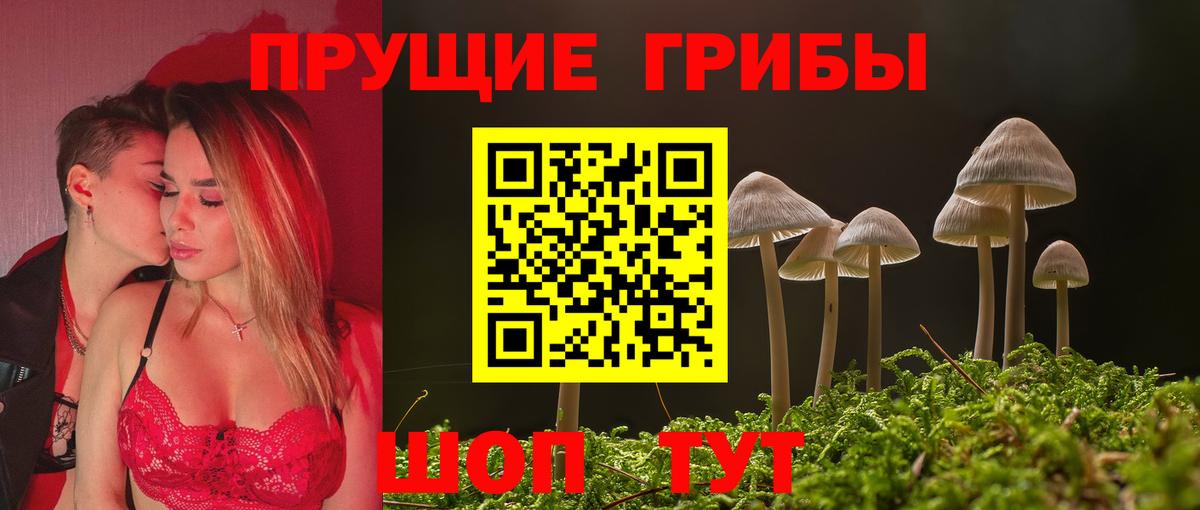 Псилоцибиновые грибы MAGIC MUSHROOMS  Вход с VPN  Арзамас 